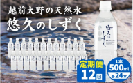 【12ヶ月連続お届け】越前大野の天然水　悠久のしずく PET500ml × 24本×12回配送　計288本 | 定期便 飲料類 水 ミネラルウォーター 定期便 ふくいのおいしい水 南部酒造場 御清水 名水百選 防災 備蓄 国産