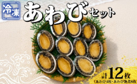 あわびセット （ あわび ＆ 艶煮 ） 計12枚 海鮮 魚介 貝 あわび 殻付き 鮑 刺身 刺し身 蒸しあわび バター焼き 高級食材 韓国産 養殖 鮑 肉厚 濃厚 バーベキュー BBQ アウトドア 下関 山口 《さわ水産：SW》