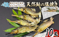 天然鮎塩焼き 10尾 国産 冷凍 竿釣り 鮎 あゆ アユ 川魚 焼き魚 炭火焼 天然 清流 魚介 海鮮 和食 おかず おつまみ グルメ 食品 川釣り 白川清流 冷凍 急速冷凍 真空パック 岐阜県産 東白川村