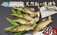 天然鮎塩焼き 20尾 国産 冷凍 竿釣り 鮎 あゆ アユ 川魚 焼き魚 炭火焼 天然 清流 魚介 海鮮 和食 おかず おつまみ グルメ 食品 川釣り 白川清流 冷凍 急速冷凍 真空パック 岐阜県産 東白川村