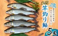 天然鮎 5尾 国産 冷凍 竿釣り 鮎 あゆ アユ 川魚 天然 清流 魚介 海鮮 おかず おつまみ 食品 白川清流 冷凍 急速冷凍 真空パック 岐阜県産 東白川村 川釣り