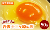 農場直送！吾妻十二ヶ原の卵（50個） 鶏卵 たまご タマゴ 卵 安心 こだわり 食卓 堀田養鶏場 群馬県 東吾妻町
