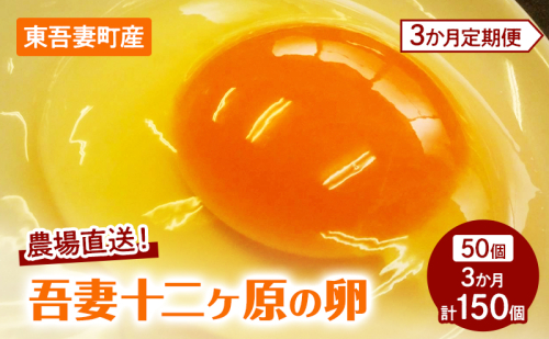 【3か月連続お届け】農場直送！吾妻十二ヶ原の卵（50個） 鶏卵 たまご タマゴ 卵 安心 こだわり 食卓 堀田養鶏場 群馬県 東吾妻町 2723838 - 群馬県東吾妻町