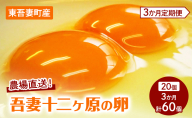【3か月連続お届け】農場直送！吾妻十二ヶ原の卵（20個） 二黄卵 鶏卵 たまご タマゴ 卵 安心 こだわり 食卓 卵かけごはん 堀田養鶏場 群馬県 東吾妻町