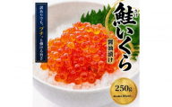 訳あり いくら醤油漬け 鮭卵 冷凍 250g  尾張まるはち
