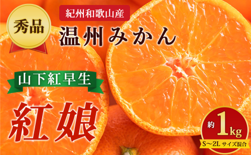 【先行予約】【秀品】紀州和歌山産 温州みかん 山下紅早生「紅娘」 約1kg（箱込み）S～2L サイズ混合 2724284 - 和歌山県美浜町