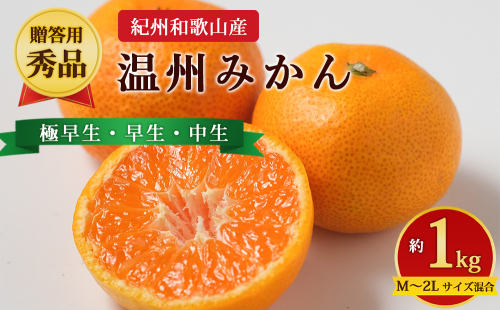 【先行予約】【贈答用・秀品】紀州和歌山産 温州みかん 約1kg（箱込み）M～2L サイズ混合（極早生・早生・中生） 2724331 - 和歌山県美浜町