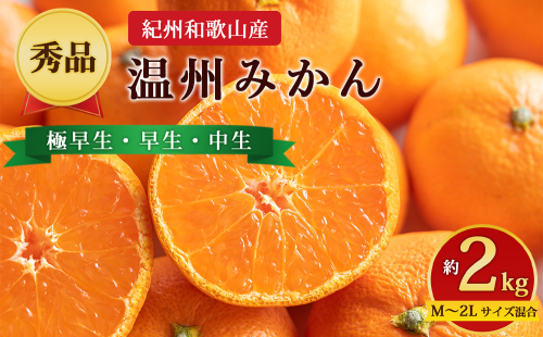【先行予約】【秀品】紀州和歌山産 温州みかん 約2kg（箱込み） M～2L サイズ混合（極早生・早生・中生） 2724334 - 和歌山県美浜町