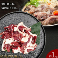 猪肉切り落とし 計約1kg ダブルビーゼット株式会社 (さつまのジビエファクトリー) 《30日以内に出荷予定(土日祝除く)》鹿児島 国産 九州産 ジビエ 冷凍 鹿児島県 さつま町 イノシシ