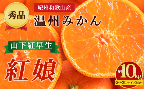 【先行予約】【秀品】紀州和歌山産 温州みかん 山下紅早生「紅娘」約10kg（箱込み）S～2L サイズ混合 2724632 - 和歌山県美浜町