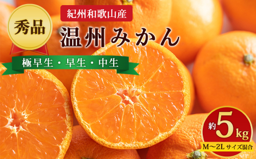 【先行予約】【秀品】紀州和歌山産 温州みかん 約5kg（箱込み） M～2L サイズ混合（極早生・早生・中生） 2724677 - 和歌山県美浜町