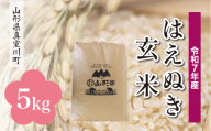 ＜令和7年産＞ はえぬき 【玄米】 5kg （5kg×1袋）＜配送時期選べます＞　真室川町