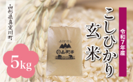 ＜令和7年産＞ こしひかり 【玄米】 5kg （5kg×1袋）＜配送時期選べます＞　真室川町