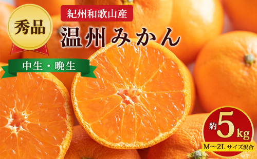 【先行予約】【秀品】紀州和歌山産 温州みかん 約5kg（箱込み） M～2L サイズ混合（中生・晩生） 2724818 - 和歌山県美浜町