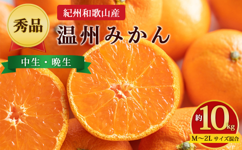 【先行予約】【秀品】紀州和歌山産 温州みかん 約10kg（箱込み） M～2L サイズ混合（中生・晩生） 2724821 - 和歌山県美浜町