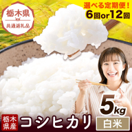 【選べる定期便回数 6ヶ月or12ヶ月】米 栃木県産 コシヒカリ 白米 5kg《お申込みの翌月から出荷》栃木県 野木町 米 白米 精米 国産 お米 おこめ お弁当 おにぎり【栃木県共通返礼品】