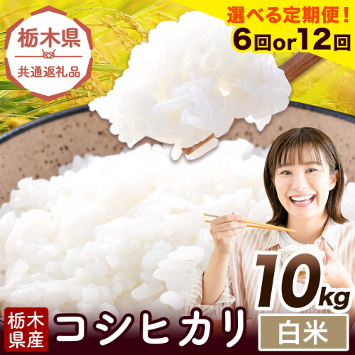 【選べる定期便回数 6ヶ月or12ヶ月】米 栃木県産 コシヒカリ 白米 10kg《お申込みの翌月から出荷》栃木県 野木町 米 白米 精米 国産 お米 おこめ お弁当 おにぎり【栃木県共通返礼品】 2724823 - 栃木県野木町