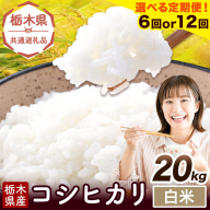 【選べる定期便回数 6ヶ月or12ヶ月】米 栃木県産 コシヒカリ 白米 20kg《お申込みの翌月から出荷》栃木県 野木町 米 白米 精米 国産 お米 おこめ お弁当 おにぎり【栃木県共通返礼品】