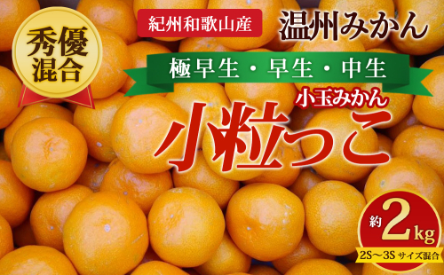 【先行予約】【秀優混合】紀州和歌山産 温州みかん「小粒っこ」約2kg（箱込み）2S～3S サイズ混合 小玉みかん（極早生・早生・中生） 2724826 - 和歌山県美浜町