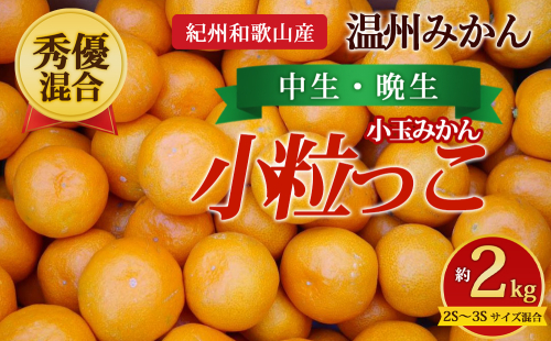 【先行予約】【秀優混合】紀州和歌山産 温州みかん「小粒っこ」約2kg（箱込み）2S～3S サイズ混合 小玉みかん（中生・晩生） 2724835 - 和歌山県美浜町