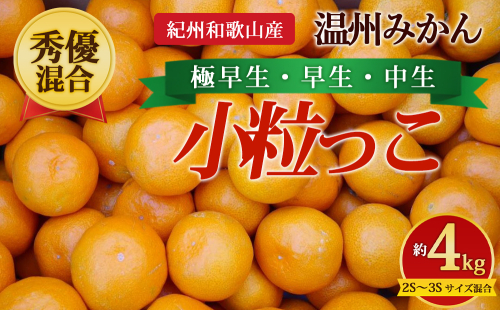 【先行予約】【秀優混合】紀州和歌山産 温州みかん「小粒っこ」約4kg（箱込み）2S～3S サイズ混合 小玉みかん（極早生・早生・中生） 2724839 - 和歌山県美浜町
