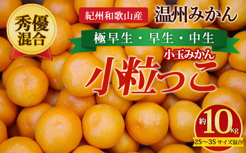 【先行予約】【秀優混合】紀州和歌山産 温州みかん「小粒っこ」約10kg（箱込み）2S～3S サイズ混合 小玉みかん（極早生・早生・中生） 2724904 - 和歌山県美浜町