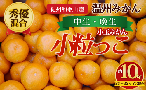 【先行予約】【秀優混合】紀州和歌山産 温州みかん「小粒っこ」約10kg（箱込み）2S～3S サイズ混合 小玉みかん（中生・晩生） 2724946 - 和歌山県美浜町