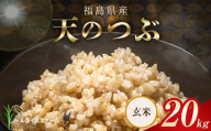 〈先行予約〉令和8年産 農家直送 ベルライスファーム 天のつぶ 玄米 20㎏ F6U-444
