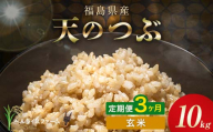 〈先行予約〉令和8年産【お米の定期便】3ヶ月配送 農家直送 ベルライスファーム 天のつぶ 玄米 10kg F6U-451