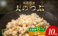 〈先行予約〉令和8年産【お米の定期便】6ヶ月配送 農家直送 ベルライスファーム 天のつぶ 玄米 10kg F6U-457