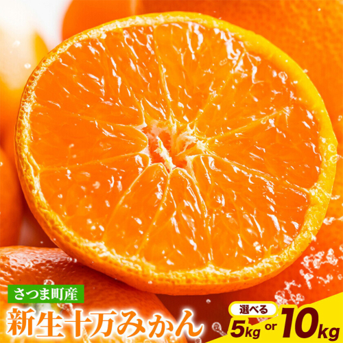 鹿児島県産 新生十万みかん 選べる内容量 約5kg 約10kg 祝迫果樹園《1月中旬-2月中旬頃出荷》鹿児島県 さつま町 みかん 十万みかん 蜜柑 柑橘 果物 くだもの フルーツ ジューシー 2725823 - 鹿児島県さつま町