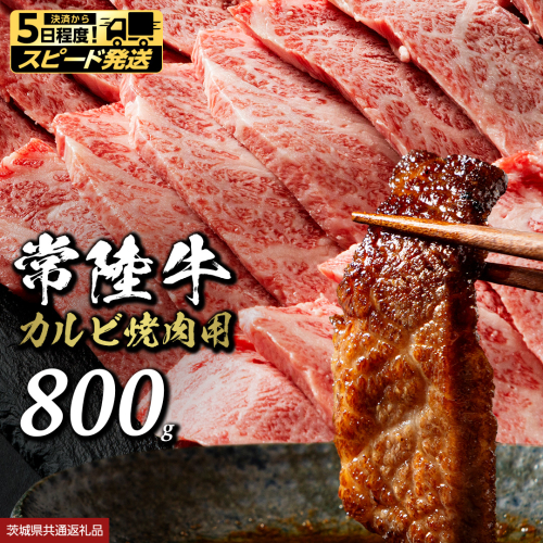 【 スピード 発送 】 常陸牛 焼肉 カルビ 800g (茨城県共通返礼品) 牛肉 牛 肉 焼き肉 焼肉用 黒毛和牛 和牛 霜降り お肉 国産 国産牛 ブランド牛 A4 A5 冷凍 バーベキュー BBQ ギフト 贈答 [BX133-NT-sp] 2725830 - 茨城県つくばみらい市