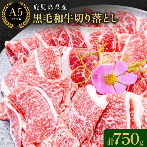 鹿児島県産黒毛和牛切落し250ｇ×3パック LRプラスK 《90日以内に出荷予定(土日祝除く) 》  鹿児島県産 A5 黒毛和牛 和牛 切落し 250ｇ×3パック 計750g 2725832 - 鹿児島県さつま町