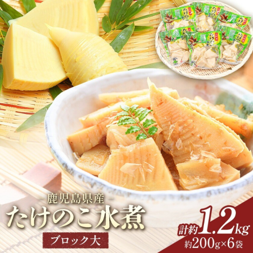 たけのこ 水煮 詰め合わせ ブロック大 九州産 計約1.2kg 約200g×6袋 北薩農産加工場《30日以内に出荷予定(土日祝除く)》鹿児島県 さつま町 送料無料 惣菜 タケノコ 筍 竹の子 パック 水煮 お取り寄せグルメ 2725844 - 鹿児島県さつま町