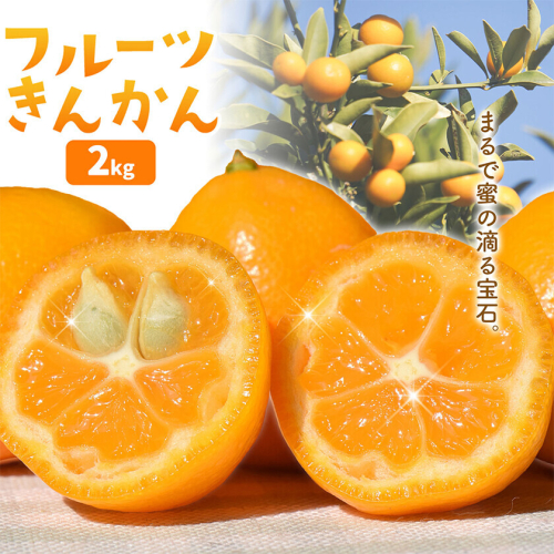 フルーツきんかん 2kg 北さつま農協《1月上旬-2月中旬頃出荷》 鹿児島県 さつま町 送料無料 金柑 きんかん 柑橘 フルーツ 果物 2725849 - 鹿児島県さつま町