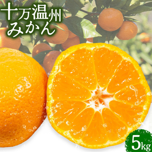 十万温州みかん 5kg 北さつま農協《1月上旬-1月末頃出荷》 鹿児島県 さつま町 送料無料 柑橘 みかん 温州みかん 十万みかん 2725851 - 鹿児島県さつま町