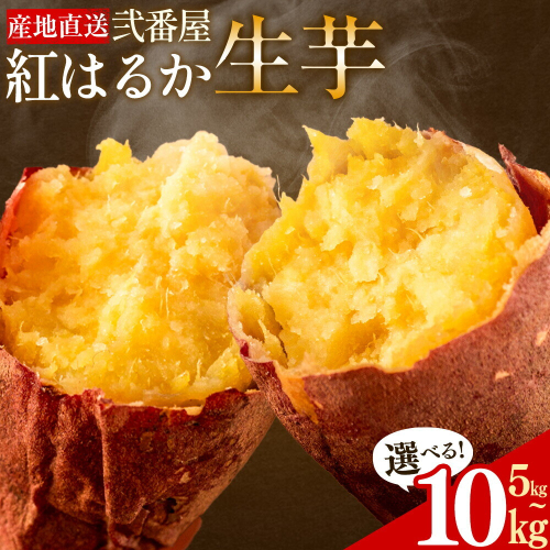 紅はるか サツマイモ 芋 選べる内容量 5kg 10kg サイズ混合 2L-2S 弐番屋《11月上旬-2月中旬頃出荷》鹿児島県 さつま町 送料無料 さつまいも イモ 野菜 スイーツ お取り寄せグルメ 2725859 - 鹿児島県さつま町