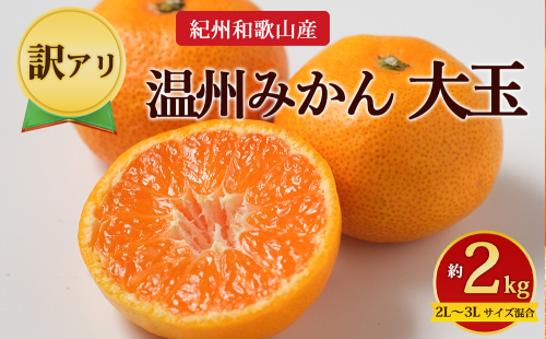 【先行予約】【訳あり】紀州和歌山産 大玉 温州みかん 約2kg（箱込み） 2L～3L サイズ混合 2725860 - 和歌山県美浜町