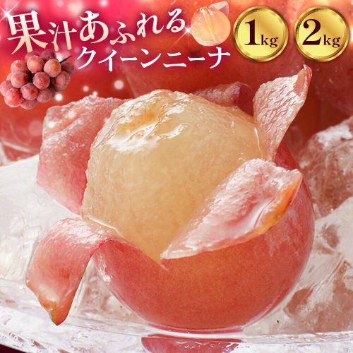 ぶどう ブドウ クイーンニーナ 1kg または 2kg 《出荷時期をお選びください》 大藏果樹園 フルーツ おやつ 甘い 果物 くだもの 鹿児島県 さつま町 2725862 - 鹿児島県さつま町