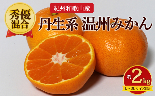 【先行予約】【秀優混合】紀州和歌山産 丹生系 温州みかん 約2kg（箱込み）L～3L サイズ混合 2725866 - 和歌山県美浜町