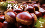≪ 数量限定 ≫低温熟成 丹波くり 3L 1kg(500g×2袋) 京丹波町産 国産 京都 丹波 和栗 熟成 栗 くり 甘い 栗ごはん 秋の味覚 ※北海道・沖縄への配送不可 [015NK001L]