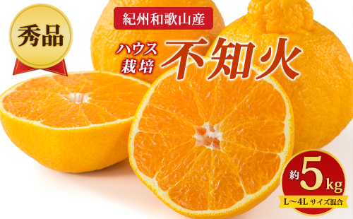 【先行予約】【秀品】紀州和歌山産 ハウス栽培 不知火 約5kg（箱込み）L～4L サイズ混合 2725933 - 和歌山県美浜町