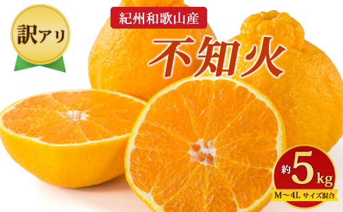 【先行予約】【訳あり】紀州和歌山産 不知火 約5kg （箱込み）M～4L サイズ混合 2725940 - 和歌山県美浜町