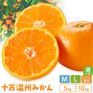 十万温州みかん 選べる M L LL サイズ混合 5kg 10kg 田野農園《12月中旬-3月中旬頃出荷》鹿児島県 さつま町 みかん 蜜柑 柑橘 果物 くだもの フルーツ ジューシー 送料無料