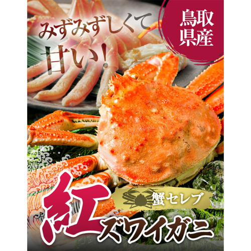 蟹  蟹セレブ 紅ズワイガニ 選べる サイズ 数量 大 特大 1杯 2杯 giverichホールディングス《10月上旬-5月下旬頃出荷》鳥取県 八頭町 蟹 かに カニ 紅ズワイガニ 紅ズワイ 送料無料 2725957 - 鳥取県八頭町