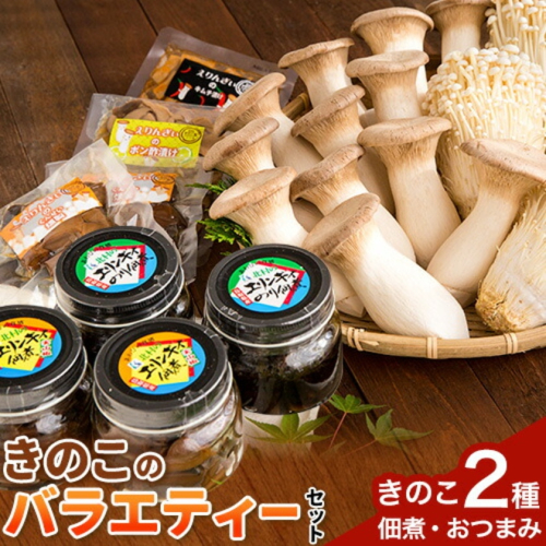 きのこ 八頭町産きのこのバラエティーセット《90日以内に出荷予定(土日祝除く)》 北村きのこ園 鳥取県 八頭町 エノキ えのき茸 エリンギ エリンギィ 佃煮 おつまみ セット 送料無料 2725970 - 鳥取県八頭町
