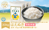 【先行予約】新米 30kg 10kg×3 はえぬき 玄米 令和8年産 2027年3月下旬 mk-haxxb30-g3c