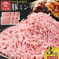 鹿児島 うんまか 豚ミンチ 計3kg 500g×6P 選べる回数 1回 3ヶ月定期便 隔月定期便 株式会社寺師《出荷時期をお選びください 》鹿児島県 さつま町 豚肉 ミンチ 肉