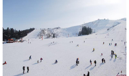 小出・須原・薬師共通シーズン券　新潟県 スキー場  雪遊び スキー シーズンチケット 2727769 - 新潟県魚沼市