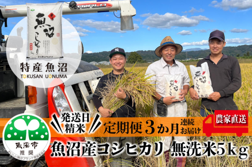 農家直送！ 魚沼産 コシヒカリ 無洗米 5kg 3ヶ月 連続お届け （ 米 定期便 こしひかり お米 こめ コメ 魚沼産コシヒカリ 魚沼 新潟 魚沼産こしひかり おこめ 白米 定期 お楽しみ 3回 ）  2727776 - 新潟県魚沼市